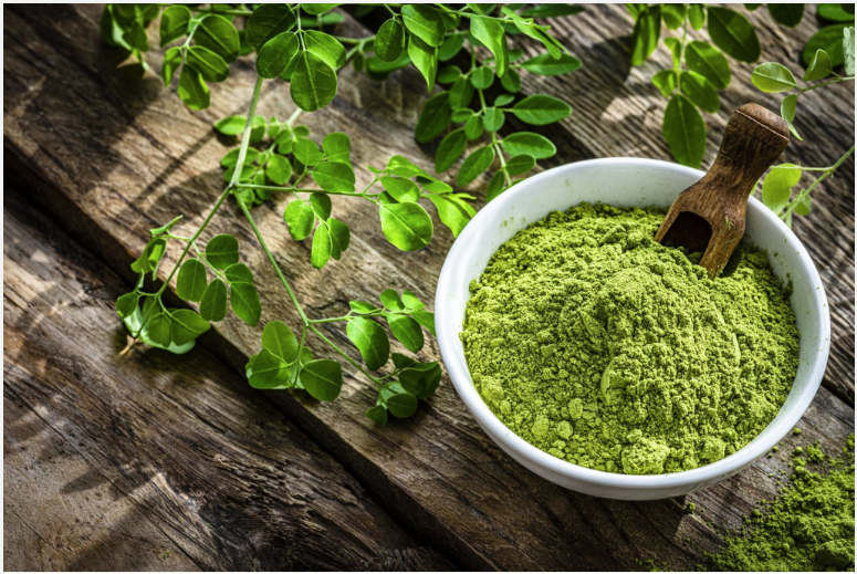 moringa leaf powder for plant based wellness